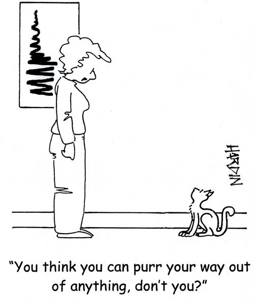 'You think you can purr your way out of anything, don't you?'