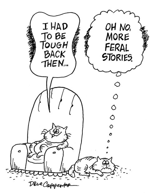 '...On, no, more feral stories.'