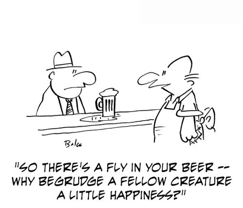 'So there's a fly in your beer — why begrudge a fellow creature a little happiness?'