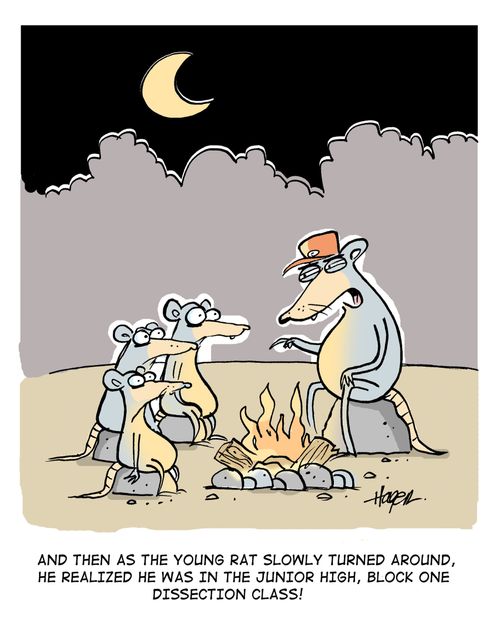'And then as the young rat turned around, he realized he was in the junior high, block one dissection class!'