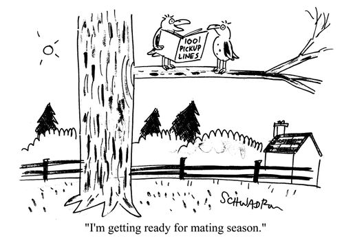 'I'm getting ready for mating season.'