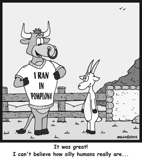 'It was great! I can't believe how silly humans really are...'