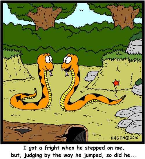 'I got a fright when he stepped on me, but, judging by the way he jumped, so did he...'