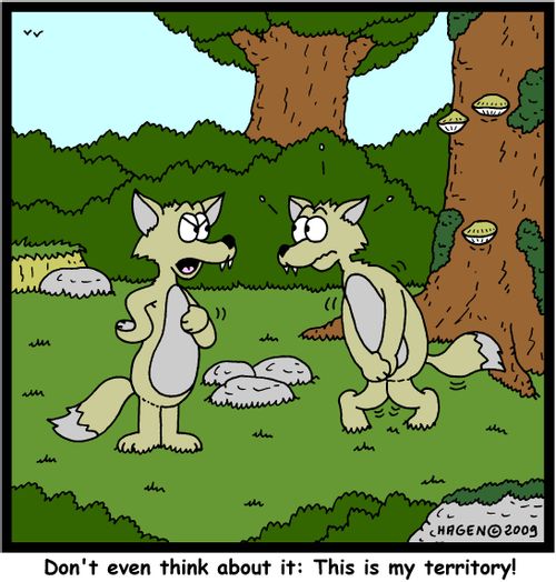 'Don't even think about it: This is my territory!'