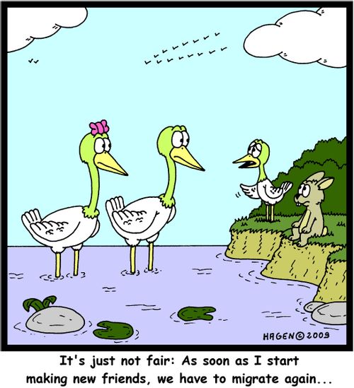 'It's just not fair: As soon as I start making new friends, we have to migrate again...'