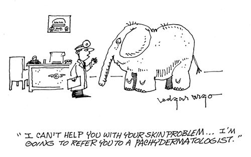 'I can't help you with your skin problem...I'm going to refer you to a pachydermatologist.'
