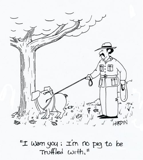 'I warn you; I'm no pig to be truffled with