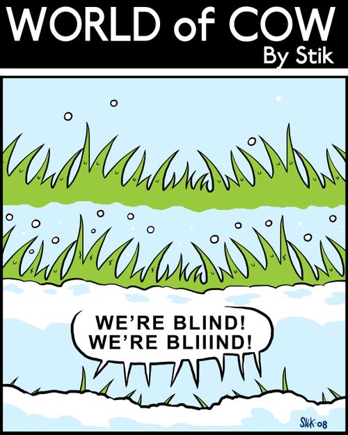 Snow covers grass.'WE'RE BLIND! WE'RE BLIIIND!'
