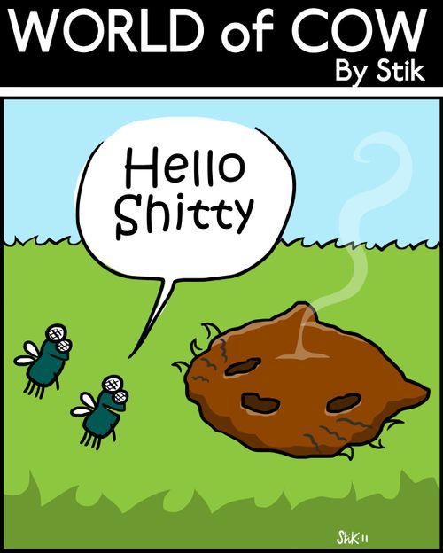 'Hello Shitty.'