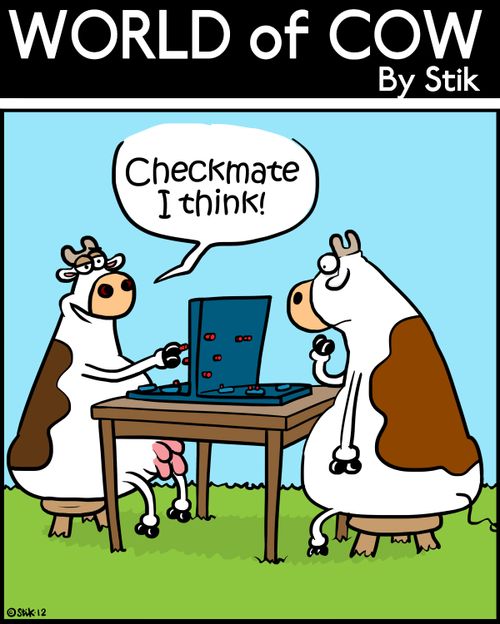 'Checkmate I think!'