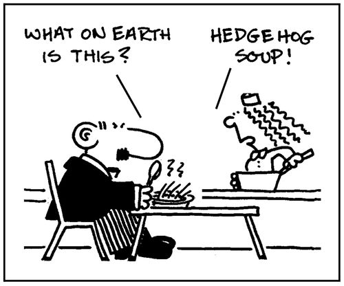 'What on earth is this? Hedgehog soup.'