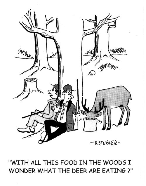 'With all this food in the woods I wonder what the deer are eating?'