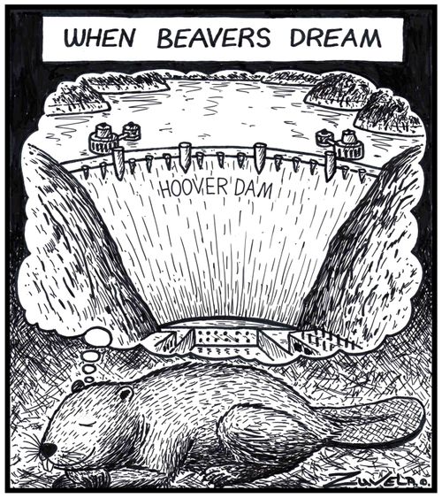 When beavers dream.