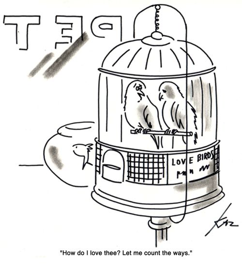 Love birds: 'How do I love thee? Let me count the ways.'