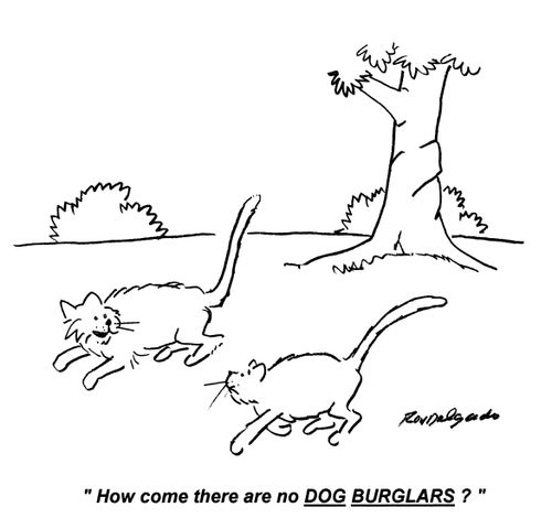 'How come there are no DOG BURGLARS?'