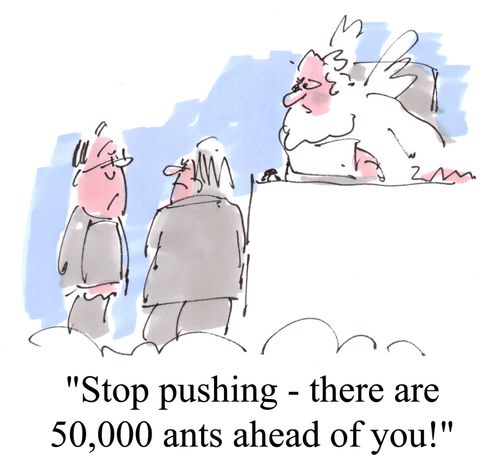 "Stop pushing - there are 50,000 ants ahead of you!"