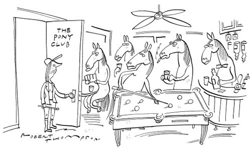'The pony club'