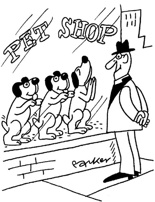 Reverend picking a puppy