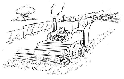 Man on combine harvester, harvesting a river of fish