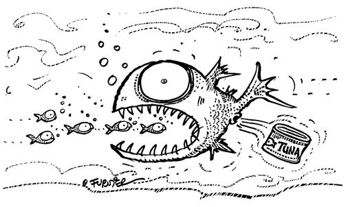 Small fish eaten by larger fish