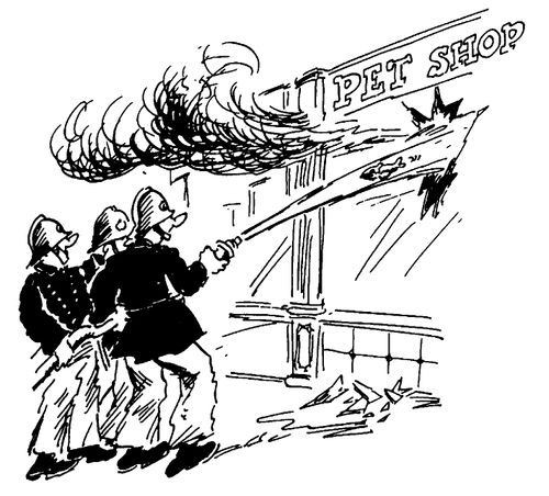 Fire at the Petshop
