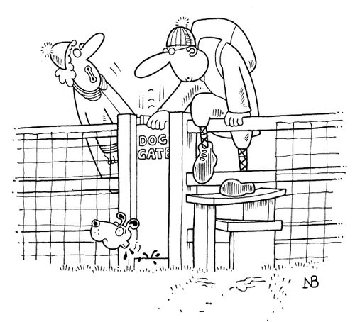 Dog Gate Accident