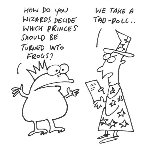 'How do you wizards decide which princes should be turned into frogs?'...