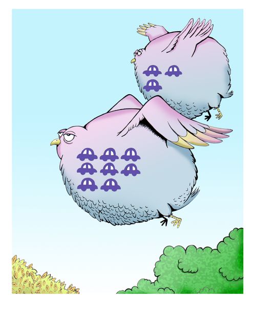 Car 'ace' birds.