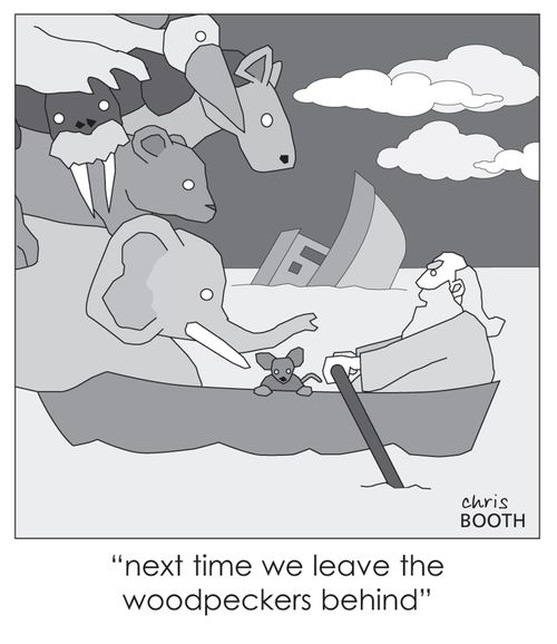 'Next time we leave the woodpeckers behind'