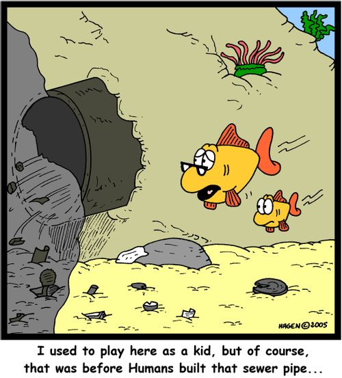 'I used to play here as a kid, but of course, that was before Humans built that sewer pipe...'