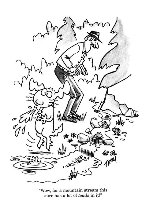 'Wow, for a mountain stream this sure has a lot of toads in it!'