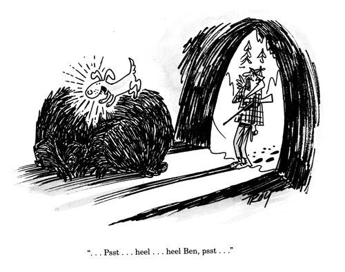 '...Psst...heel...heel Ben, psst...'