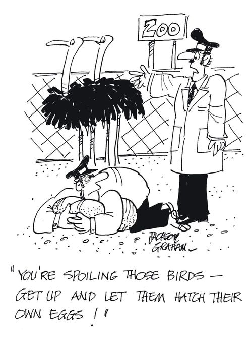 "You're spoiling those birds - get up and let them hatch their own eggs!"