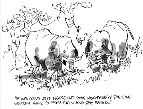 'If we could just figure out some high-energy diet, we wouldn't have to spend the hole day eating.'
