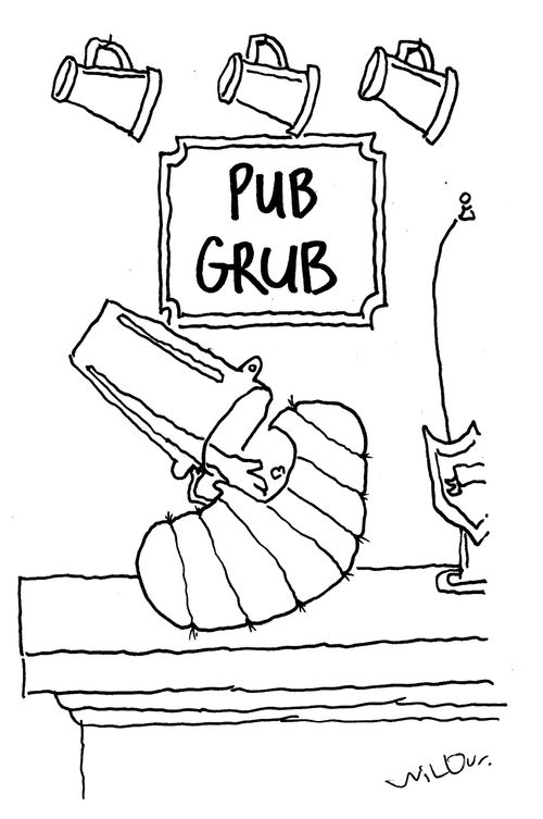 Pub grub.