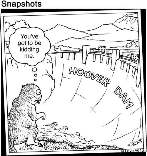 Beaver sees Hoover Dam: "You've got to be kidding me."