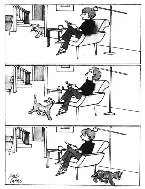 Cat and Owner Ignore Each Other.