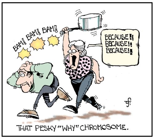 That Pesky 'Why' Chromosome.