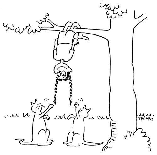 Cats playing with girl's braids.