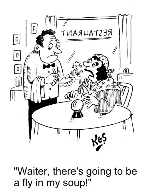 'Waiter, there's going to be a fly in my soup!'