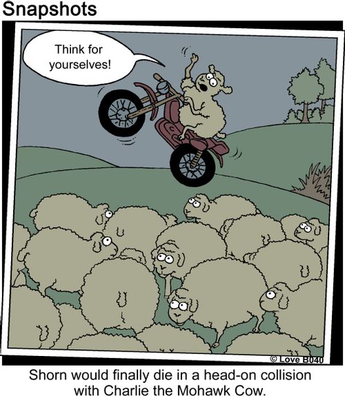 Think for yourselves! Shorn would finally die in a head-on collision with Charlie the Mohawk Cow.