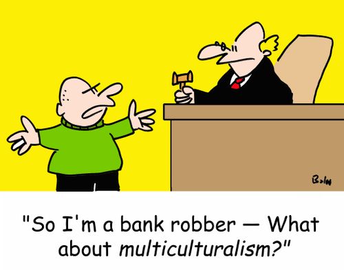 'So I'm a bank robber -- What about multiculturalism?'