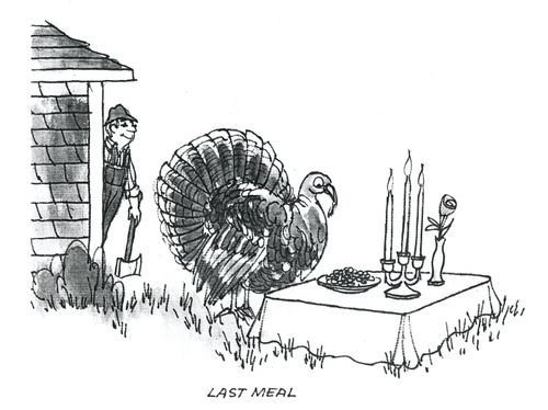 Last meal