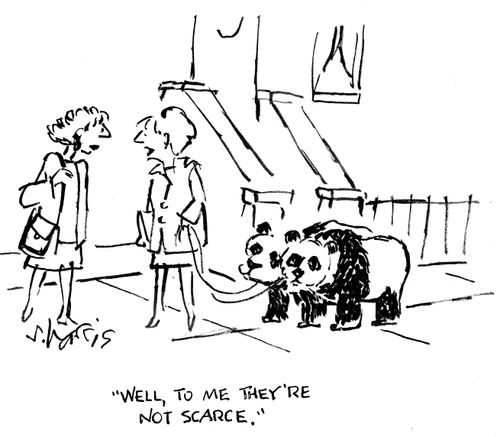 'Well, to me they're not scarce.'