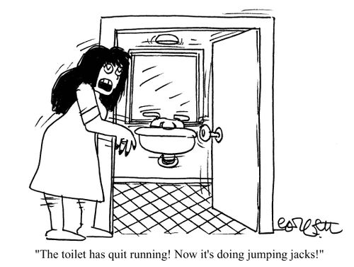 'The toilet has quit running! Now it's doing jumping jacks!'
