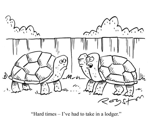 Tortoise, with another inside shell, says 'Hard times - I've had to take in a lodger.'