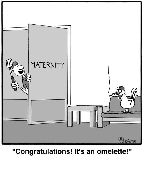 'Congratulations! It's an omelette!'