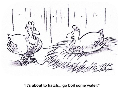 'It's about to hatch... go boil some water.'