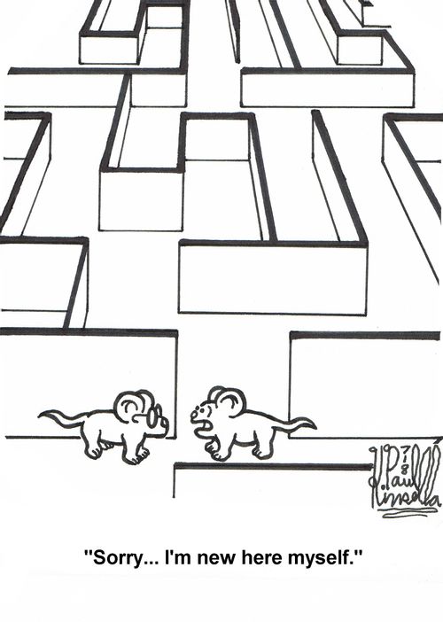 'Sorry... I'm new here myself.' (mice lost in a maze)