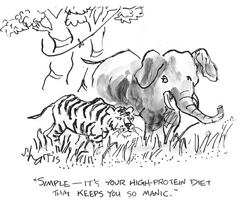 'Simple - it's your high-protein diet that keeps you so manic.'